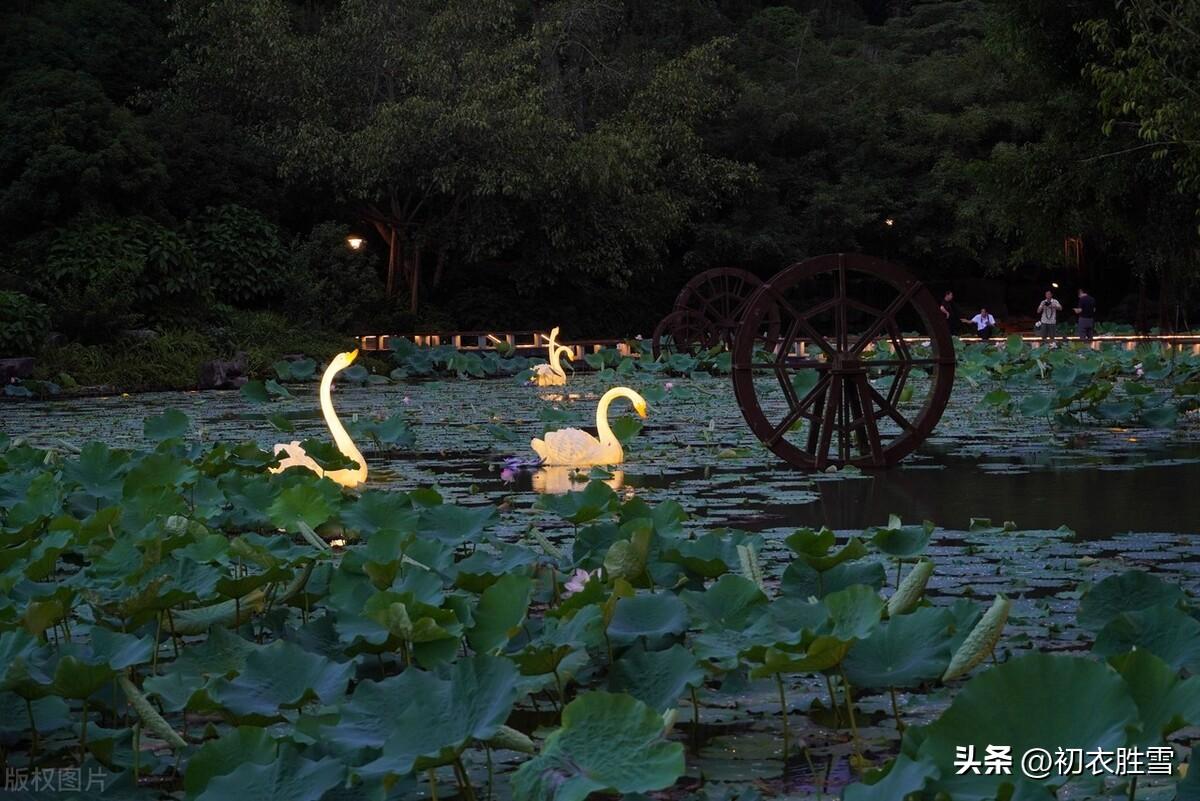 夏夜诗词名句大全（夏夜绝句五首鉴赏）