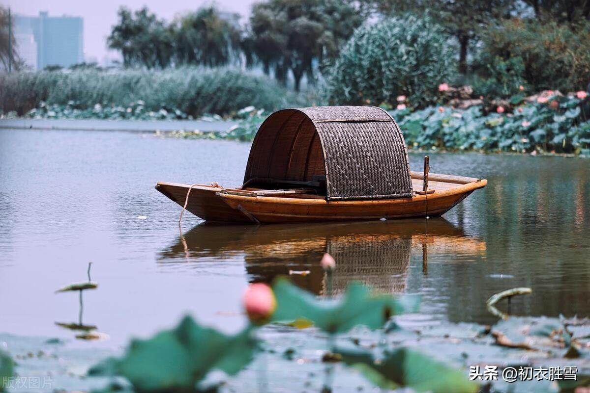 长夏荷花唯美诗词五首（竹风递荷气，长夏凉如水）