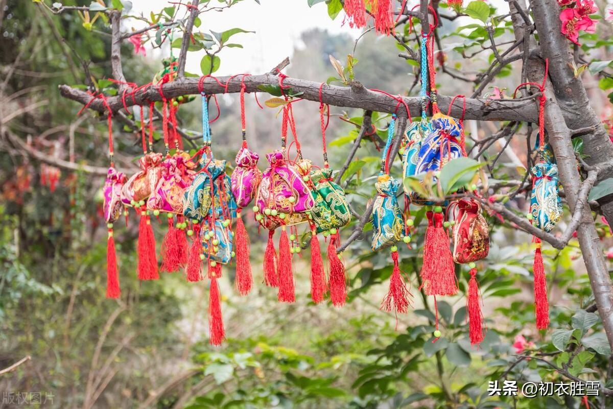 芒种诗词名句大全（芒种节气花事古诗五首）