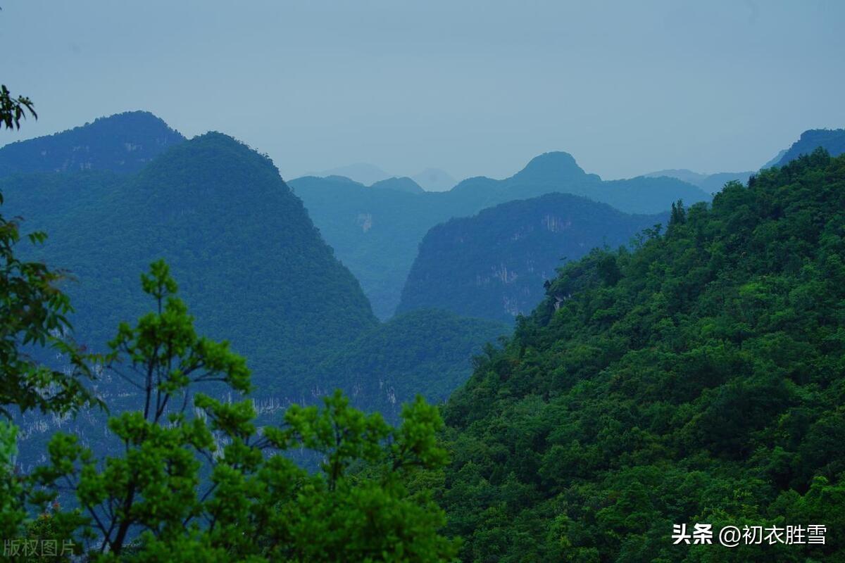 初夏诗词名句大全（初夏清新美诗七首赏读）