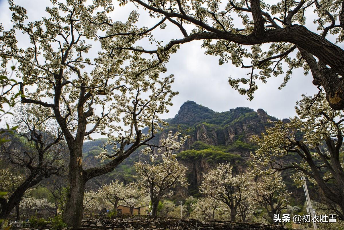 清明节诗词名句（清明节扫墓古诗五首）