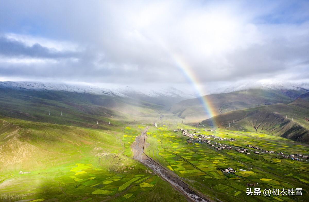 清明节诗词名句大全（古诗五首谈谈清明雨）