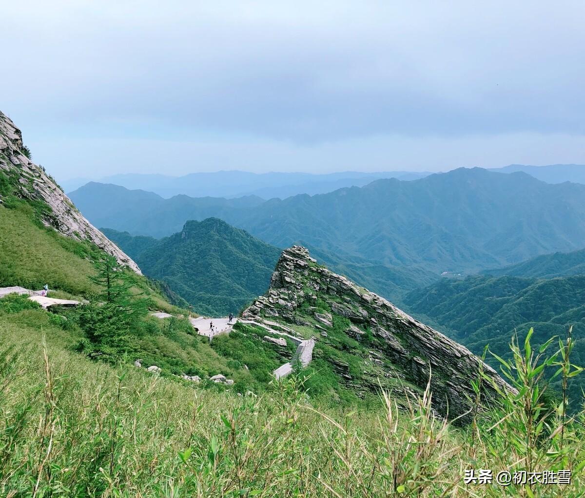 清明节诗词名句大全（古诗五首谈谈清明雨）