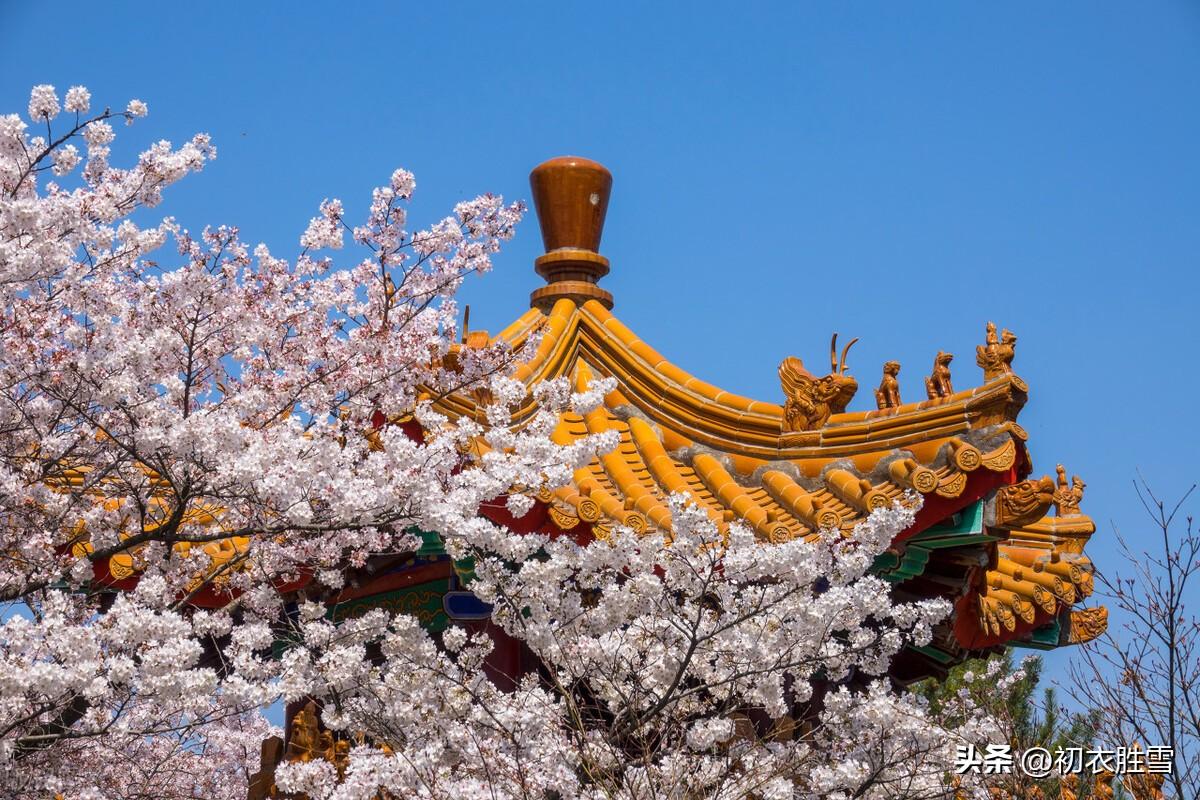 清明节诗词名句大全（古诗五首谈谈清明雨）