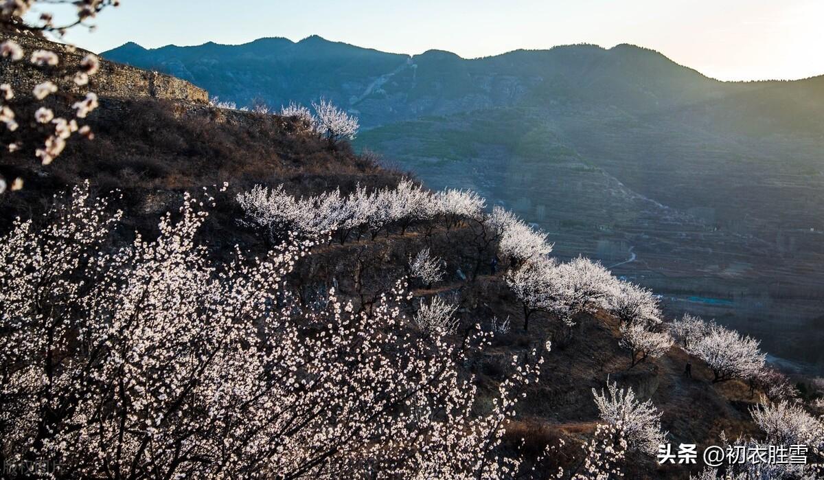 清明节诗词名句大全（古诗五首谈谈清明雨）