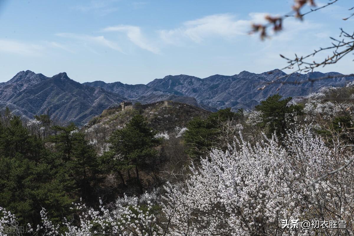 清明节诗词名句大全（古诗五首谈谈清明雨）