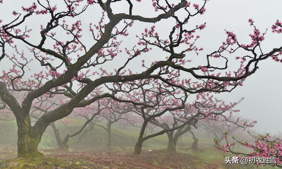 描写春天诗词名句（春雨春分美诗六首）