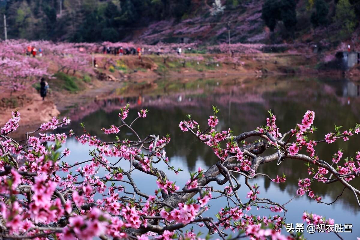 桃花经典古诗有哪些（静美桃花诗词七首赏读）