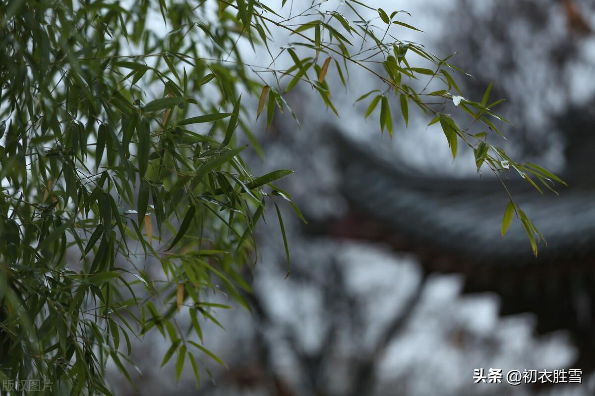 春雨经典古诗有哪些（春雨春寒古诗七首鉴赏）