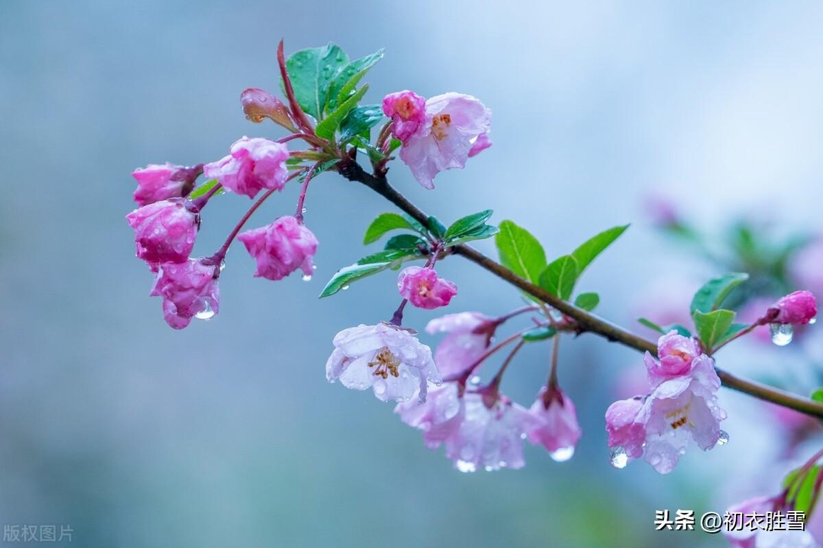 春雨经典古诗有哪些（春雨春寒古诗七首鉴赏）