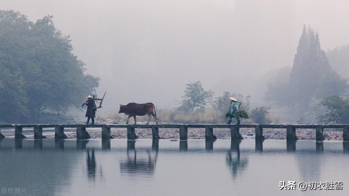 雨水经典古诗有哪些（雨水节气诗词五首）