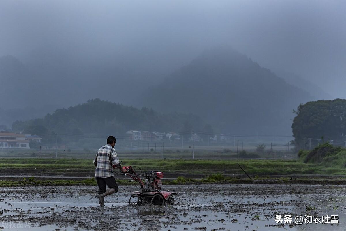 春雨经典古诗有哪些（早春春雨美诗五首）