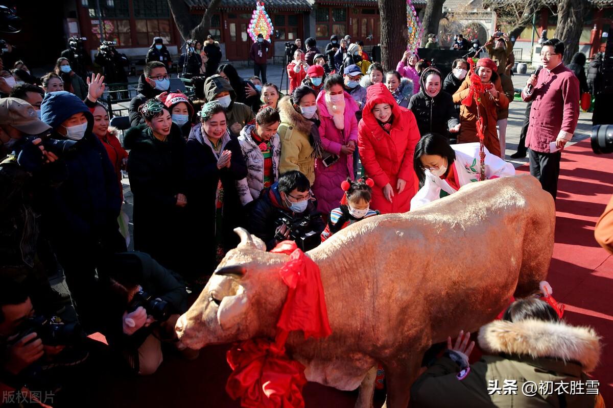 立春经典古诗有哪些（宝胜迎春绰绰斜，东郊欢踊赛牛回）