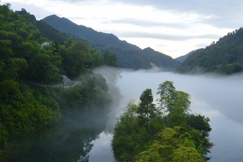 美丽的湿地公园初中作文（《傍晚的公园》）