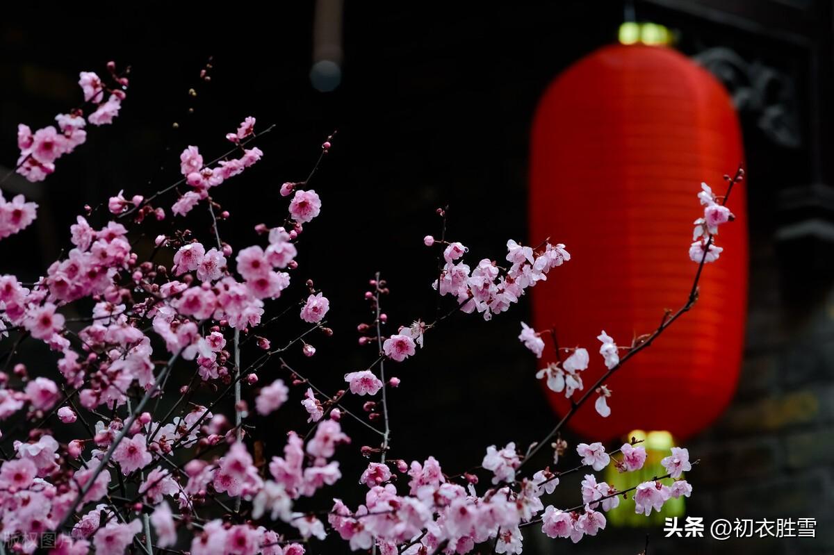 新春经典古诗大全（新年新春古诗七首赏析）