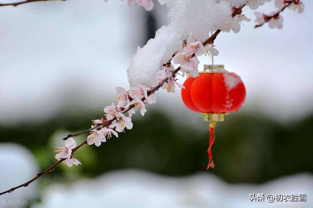 除夕经典古诗有哪些（除夕古诗五首）