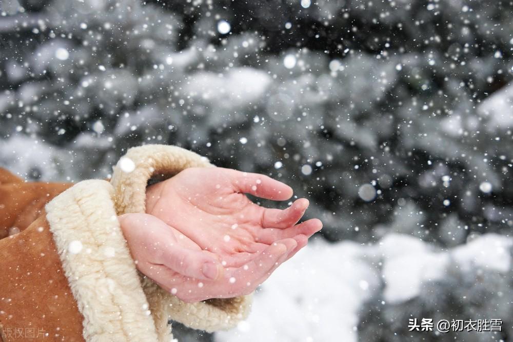 初雪诗词古句有哪些（初雪美诗六首赏析）