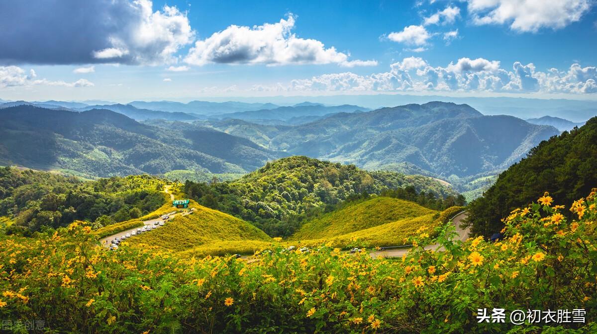 菊花唯美诗词大全（菊花以及陶渊明菊诗两首）