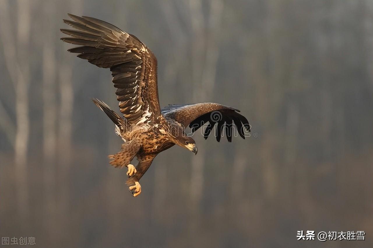 处暑经典诗词句鉴赏（处暑节气古诗三首）