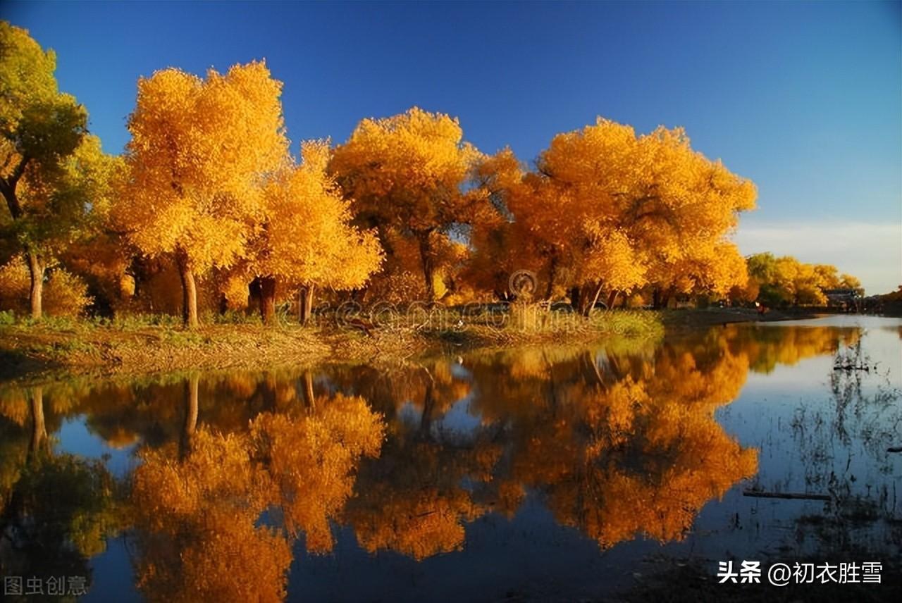 晚秋唯美诗词大全（晚秋黄叶村美诗五首赏析）