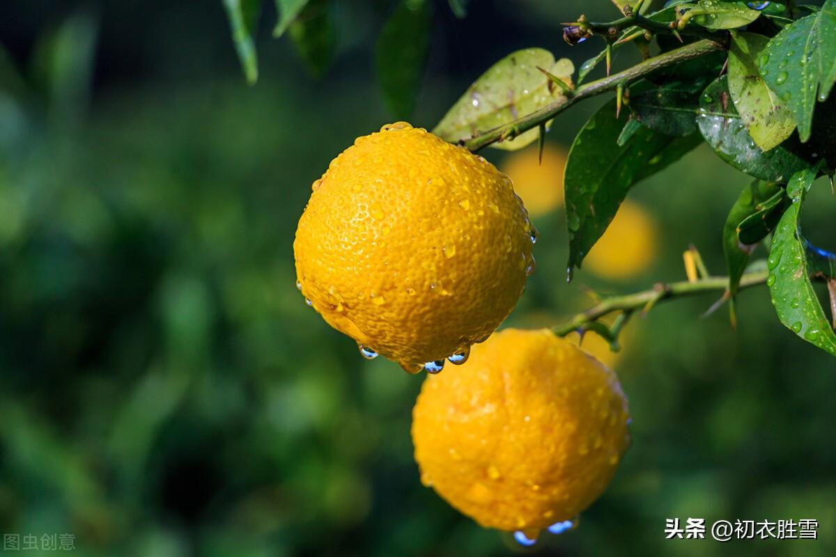 深秋唯美诗词大全（清新深秋秋雨美诗六首）