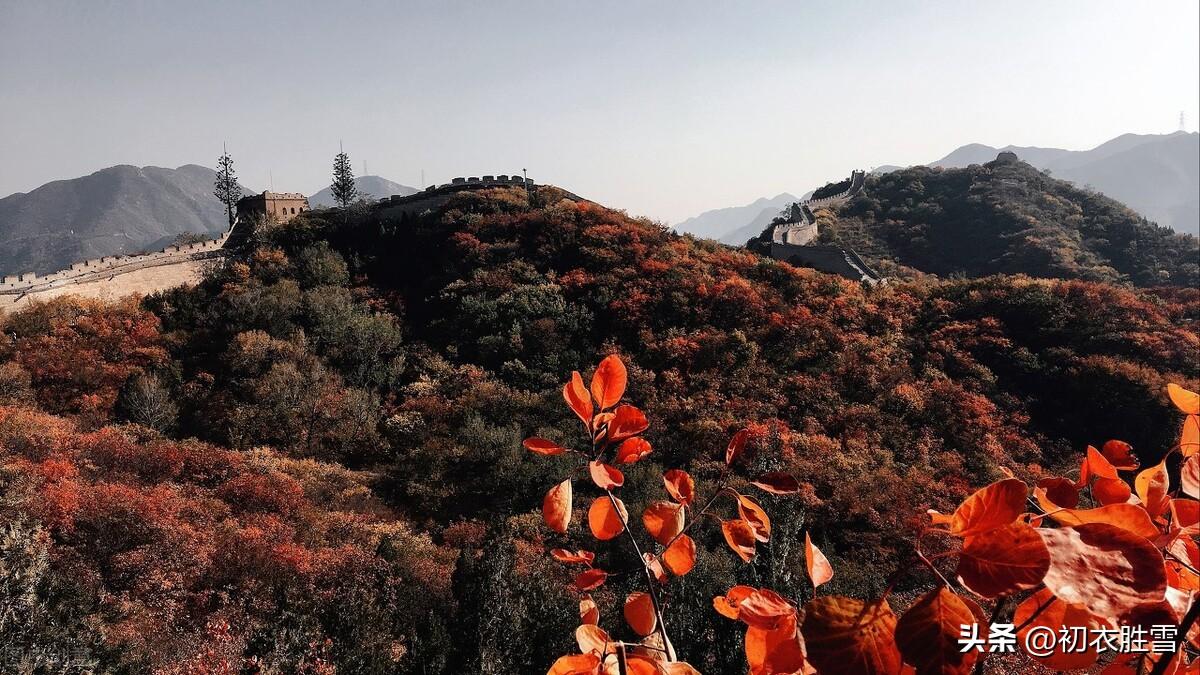 二十四节气之霜降美诗六首（霜降唯美诗词七绝）