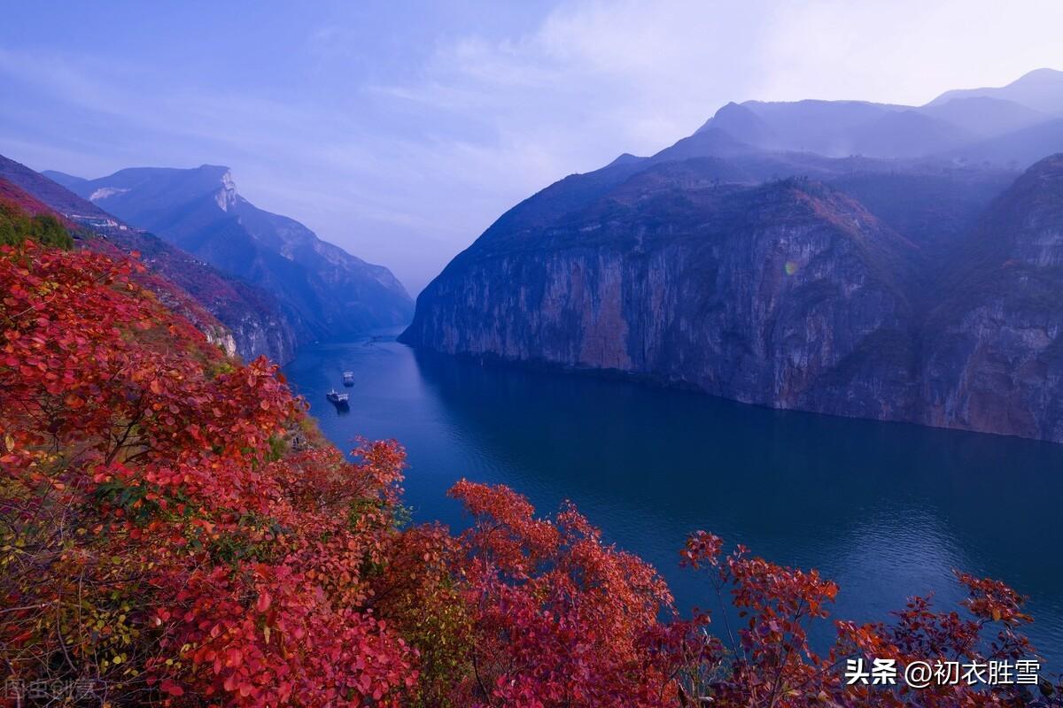 重阳唯美诗词摘抄（重阳节兄弟情四首）