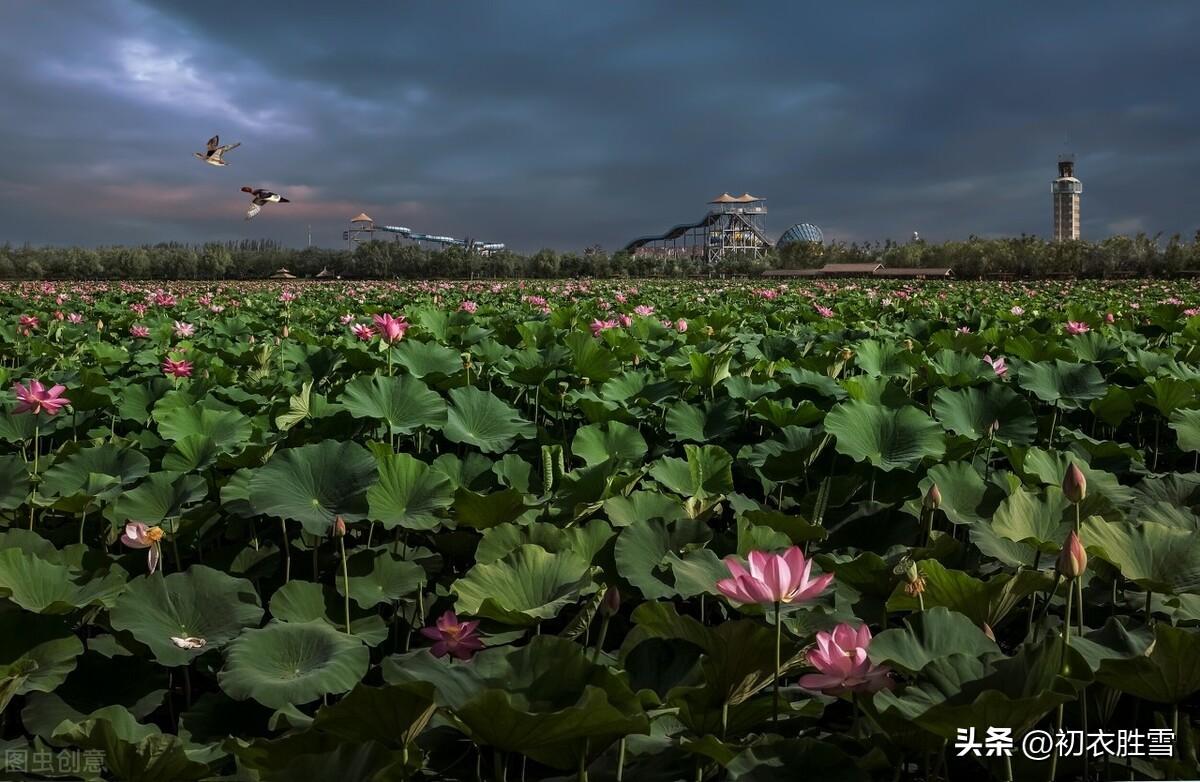 七夕经典诗词名句大全（七夕诗词五首）