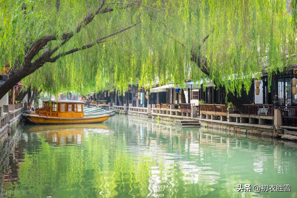 夏天古诗词名句（暑夏清凉柳阴诗词五首）