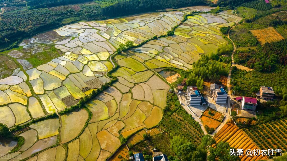 季夏日绝句古诗词（季夏美诗绝句七首赏读）