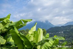 意境优美的田园经典（仲夏田园美诗五首）