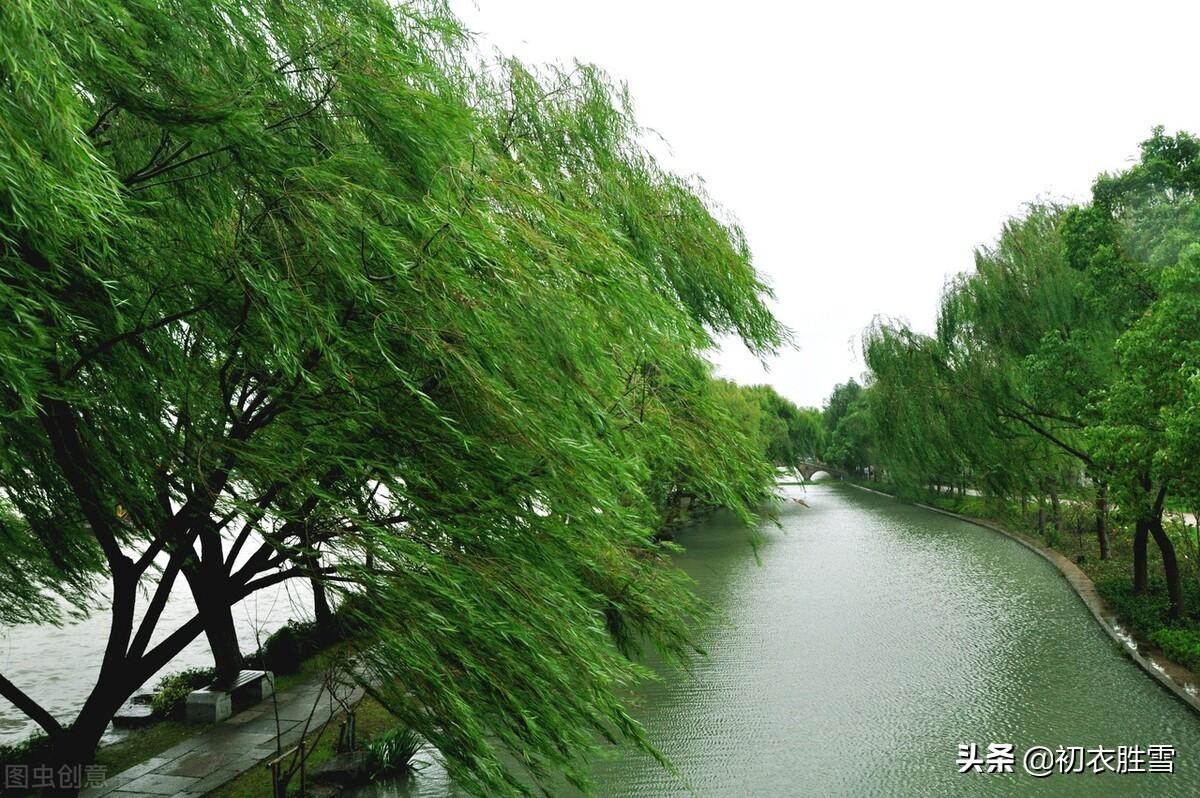 梅雨诗词名句摘抄（仲夏五月梅雨古诗七首）