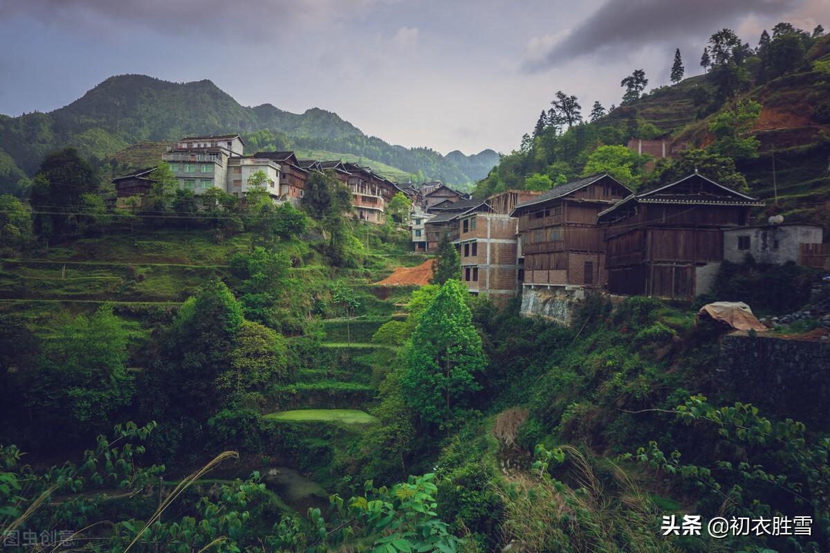 关于芒种的诗词名句（芒种节气古诗五首）