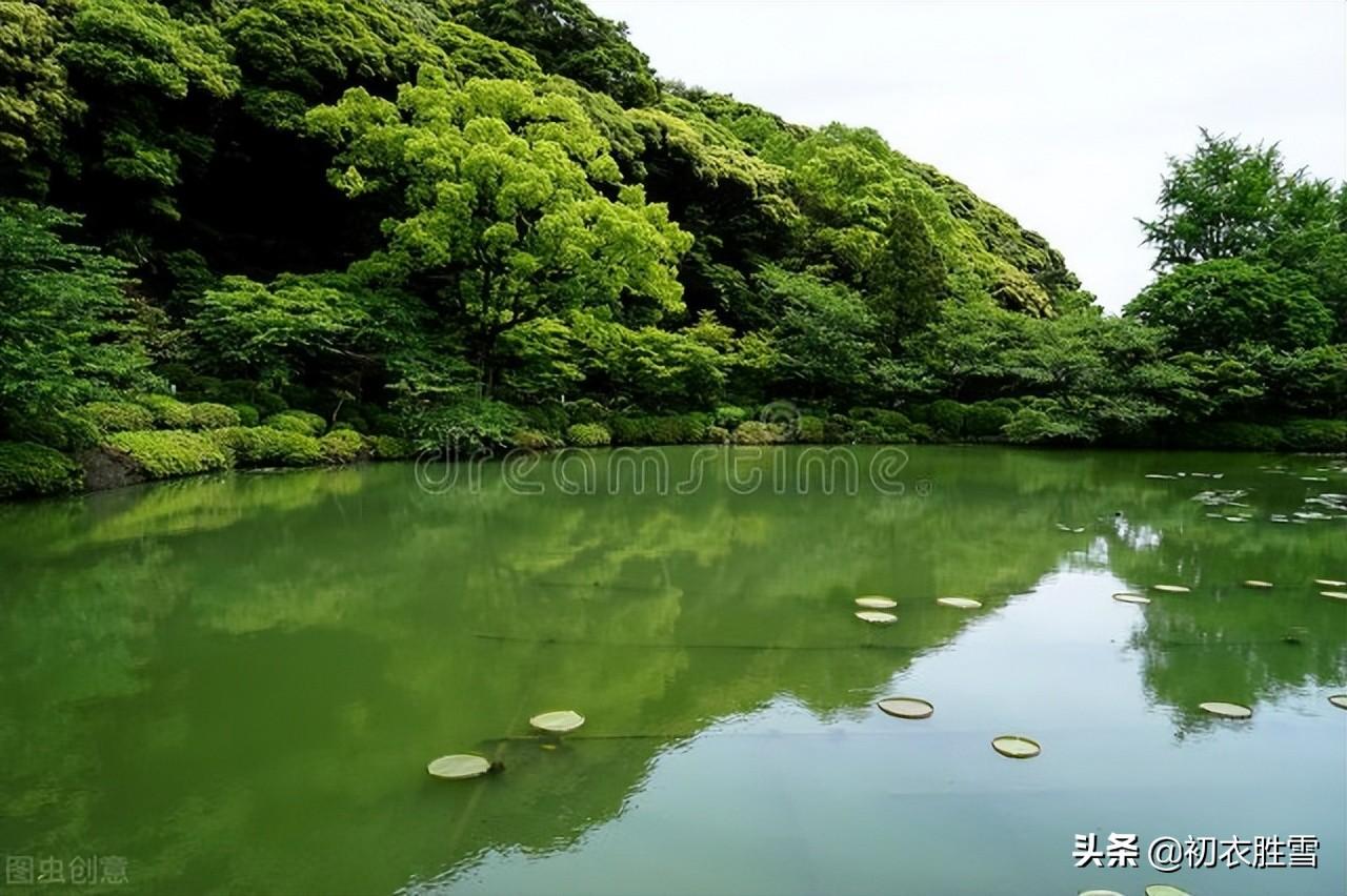 荷花诗词名句精选（仲夏五月荷花八首）