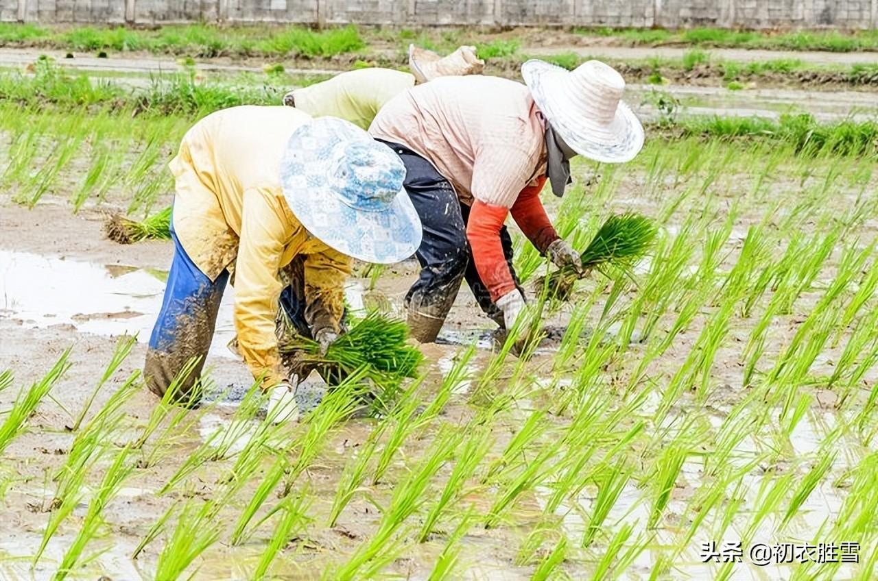 五月诗词名句有哪些（迎接仲夏五月古诗七首）