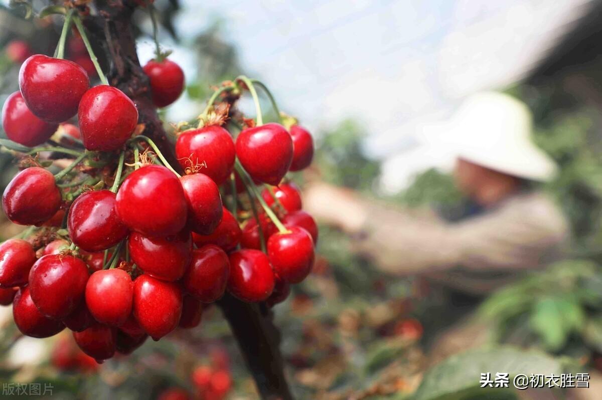 四月诗词名句大全（初夏江南四月美诗七首）