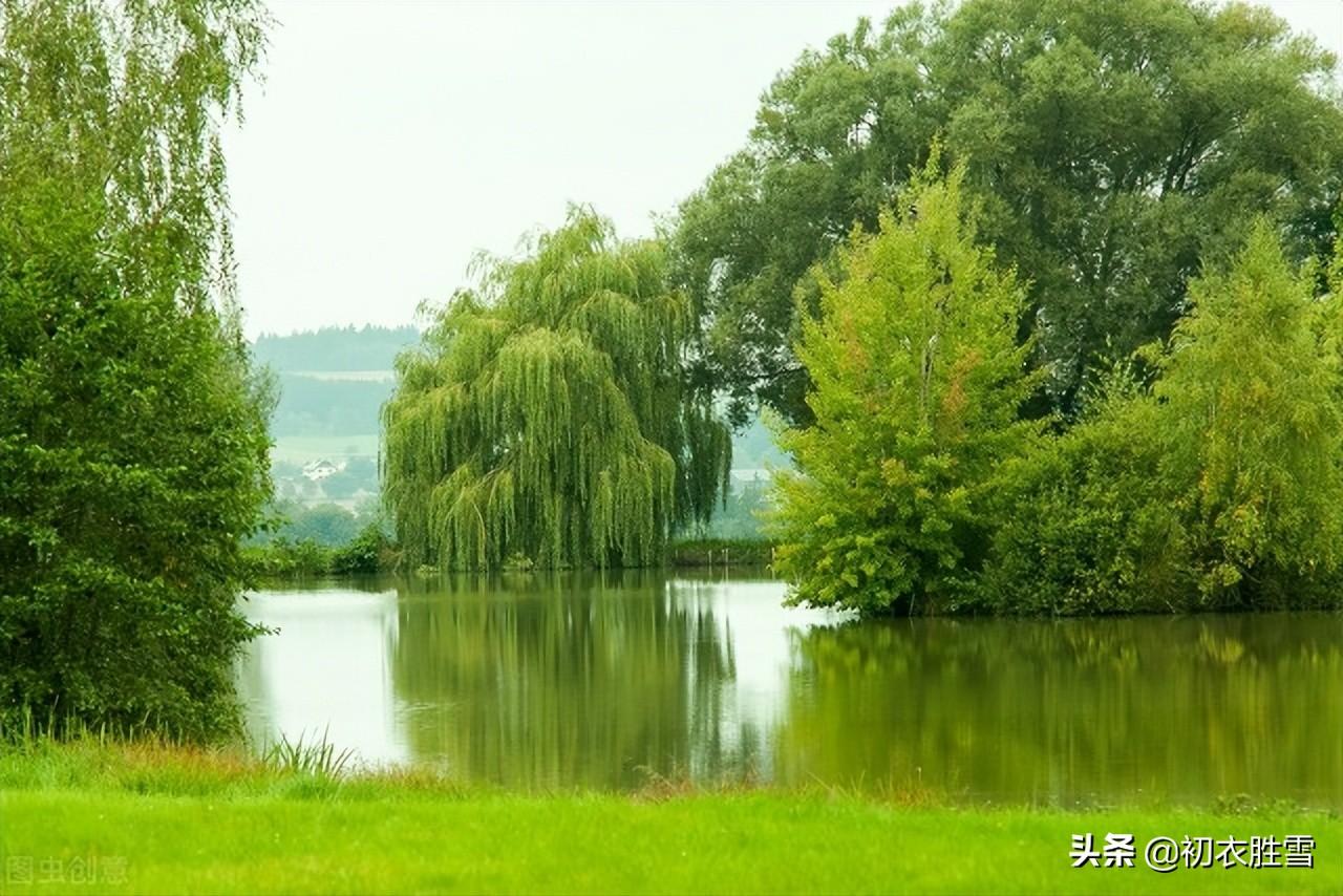 夏柳诗词名句有哪些（西湖夏柳诗词七首鉴赏）