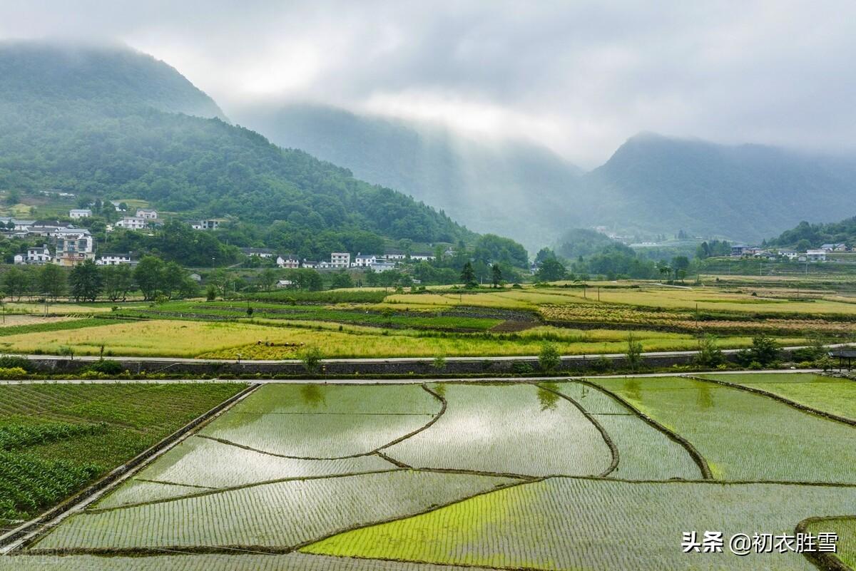 田园诗词名句大全（初夏田园美诗七首）