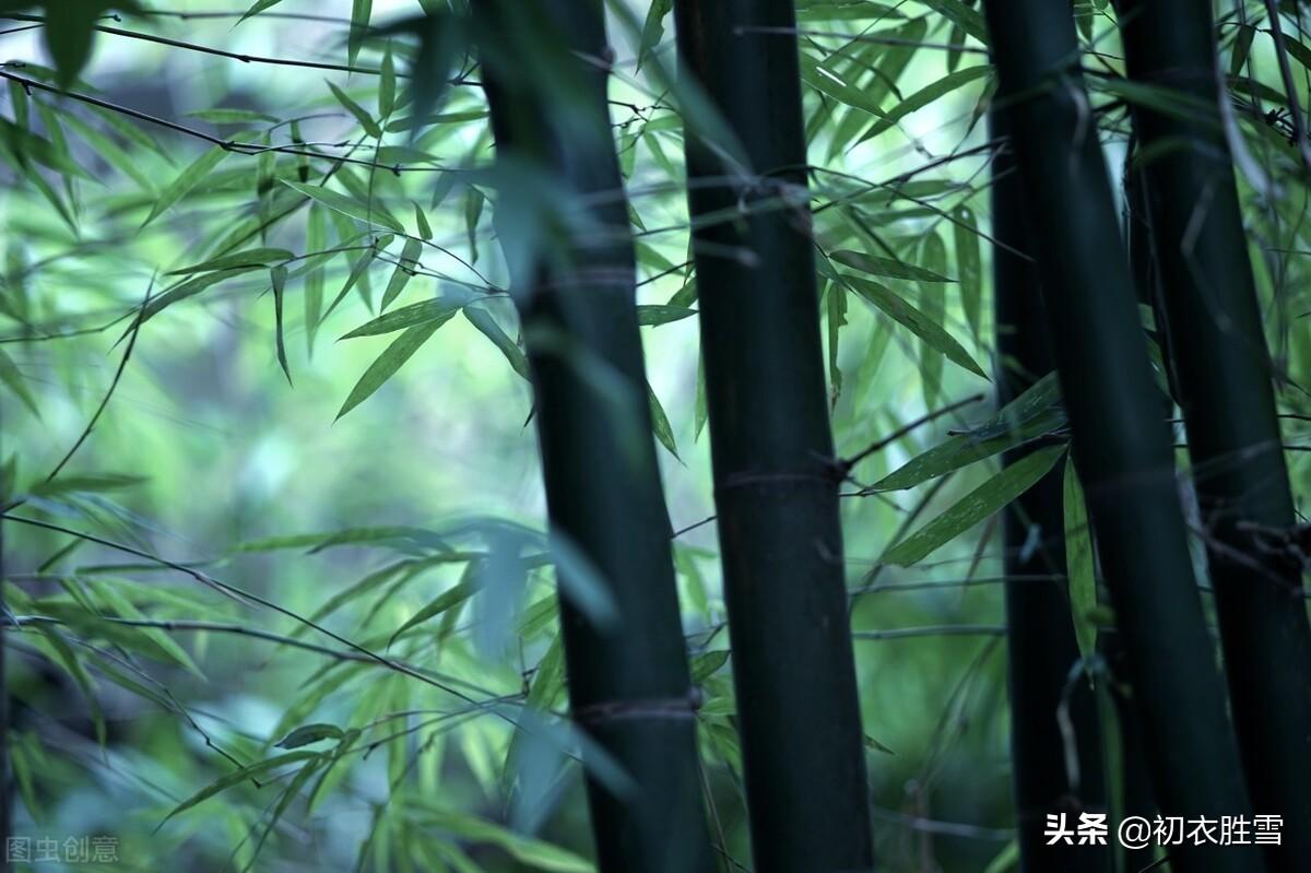 雨水诗词名句摘抄（初夏雨水美诗八首）