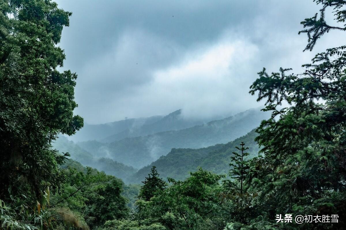 雨水诗词名句摘抄（初夏雨水美诗八首）