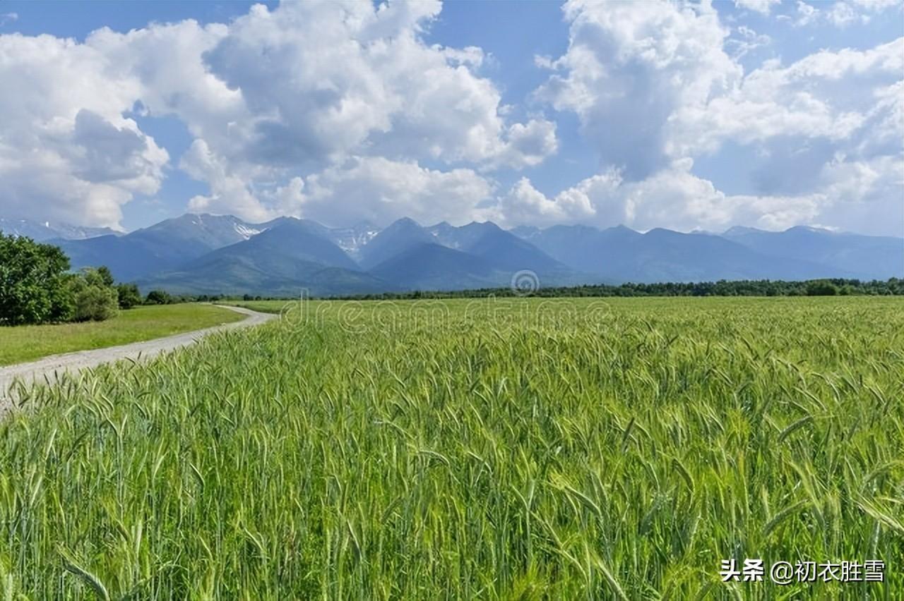 二十四节气立夏诗篇（朱明盛长，甫与万物）