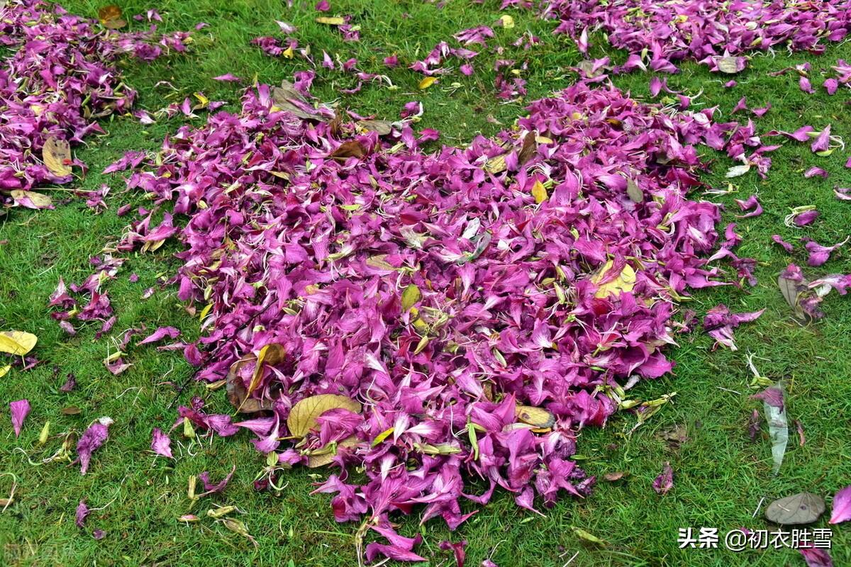 落花经典诗词有哪些（辛弃疾晚春风雨落花两首）