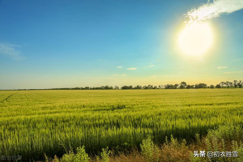 初夏经典诗词大全（迎接初夏古诗9首）