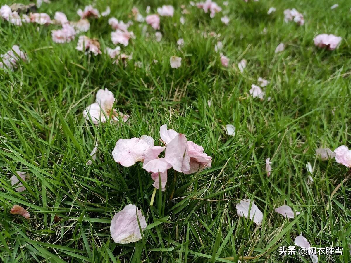 纳兰性德《拟古》落花两首：莺啼花乱落，风吹成锦茵