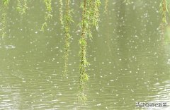 柳絮经典诗词鉴赏（晚春柳絮诗词五首）