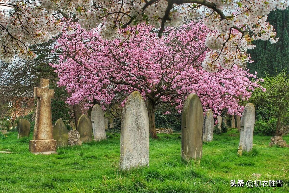 清明节古诗词大全（寒食节清明节唐诗七首）