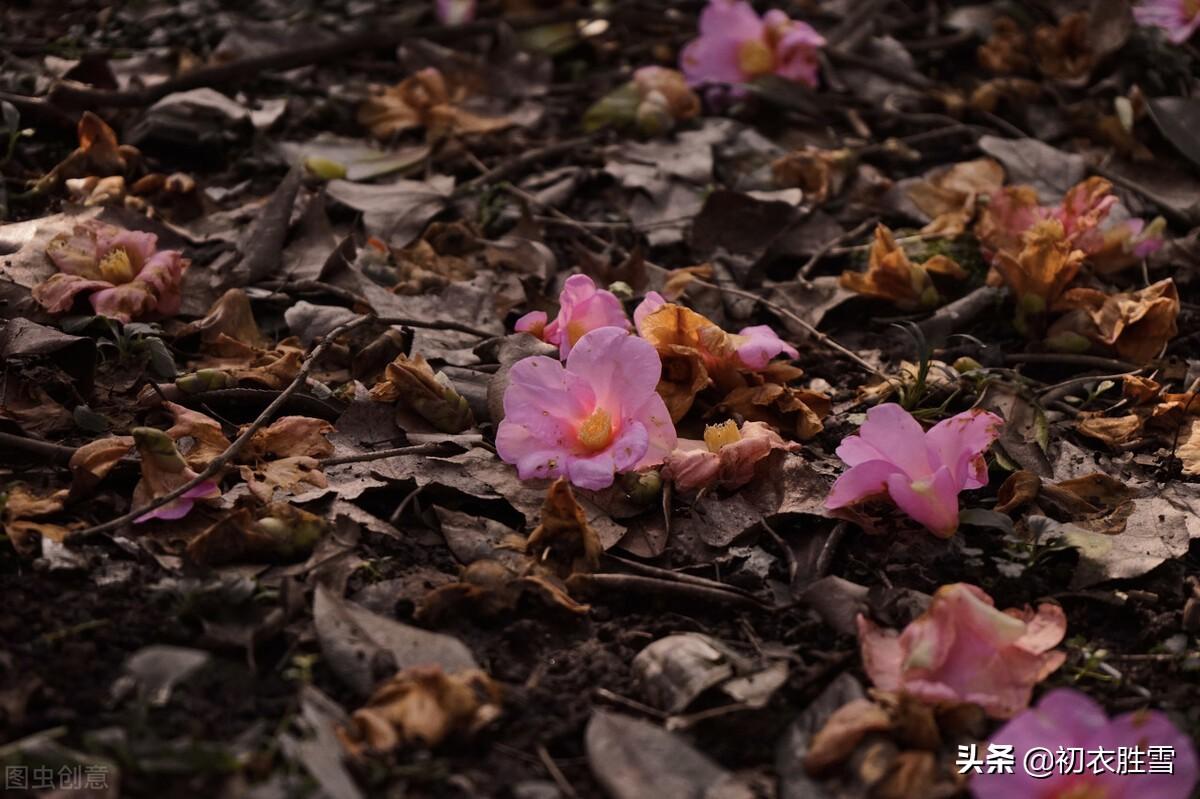 河水浮落花，为道长相忆（生命之感的落花美诗六首）