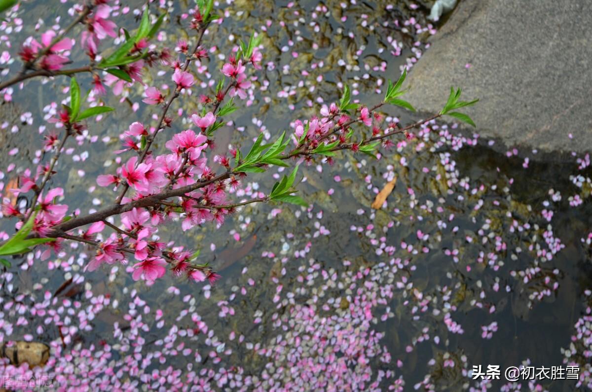 相寻梦里路，飞雨落花中（晏几道落花情词两首）