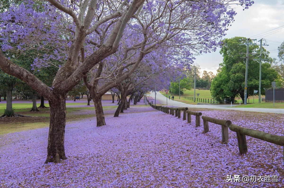 相寻梦里路，飞雨落花中（晏几道落花情词两首）