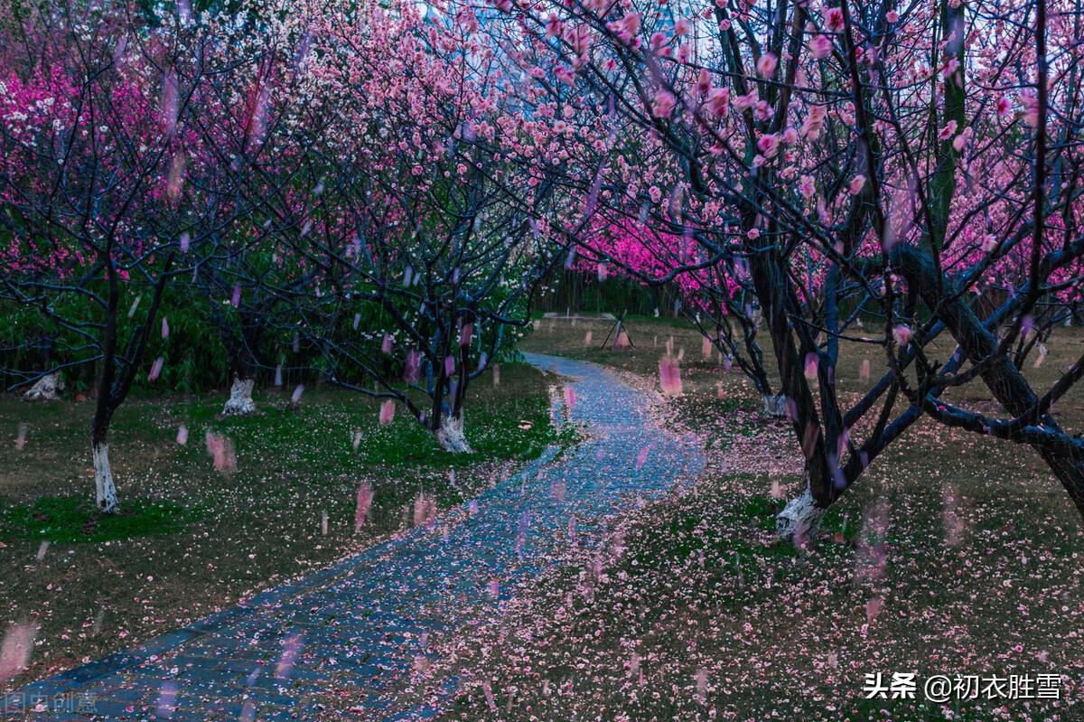 相寻梦里路，飞雨落花中（晏几道落花情词两首）